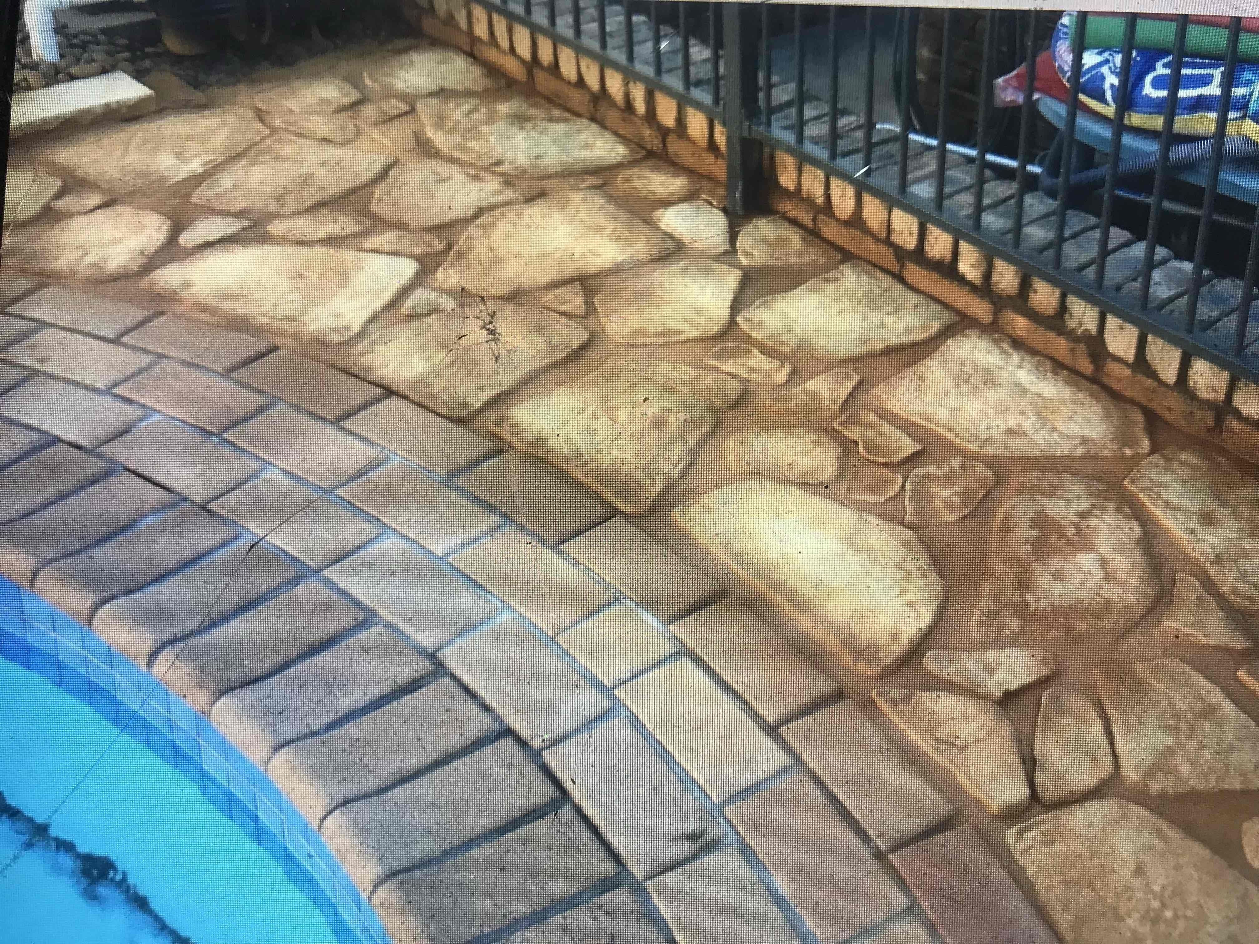 Steve's Oasis Landscapes project — hipages-067