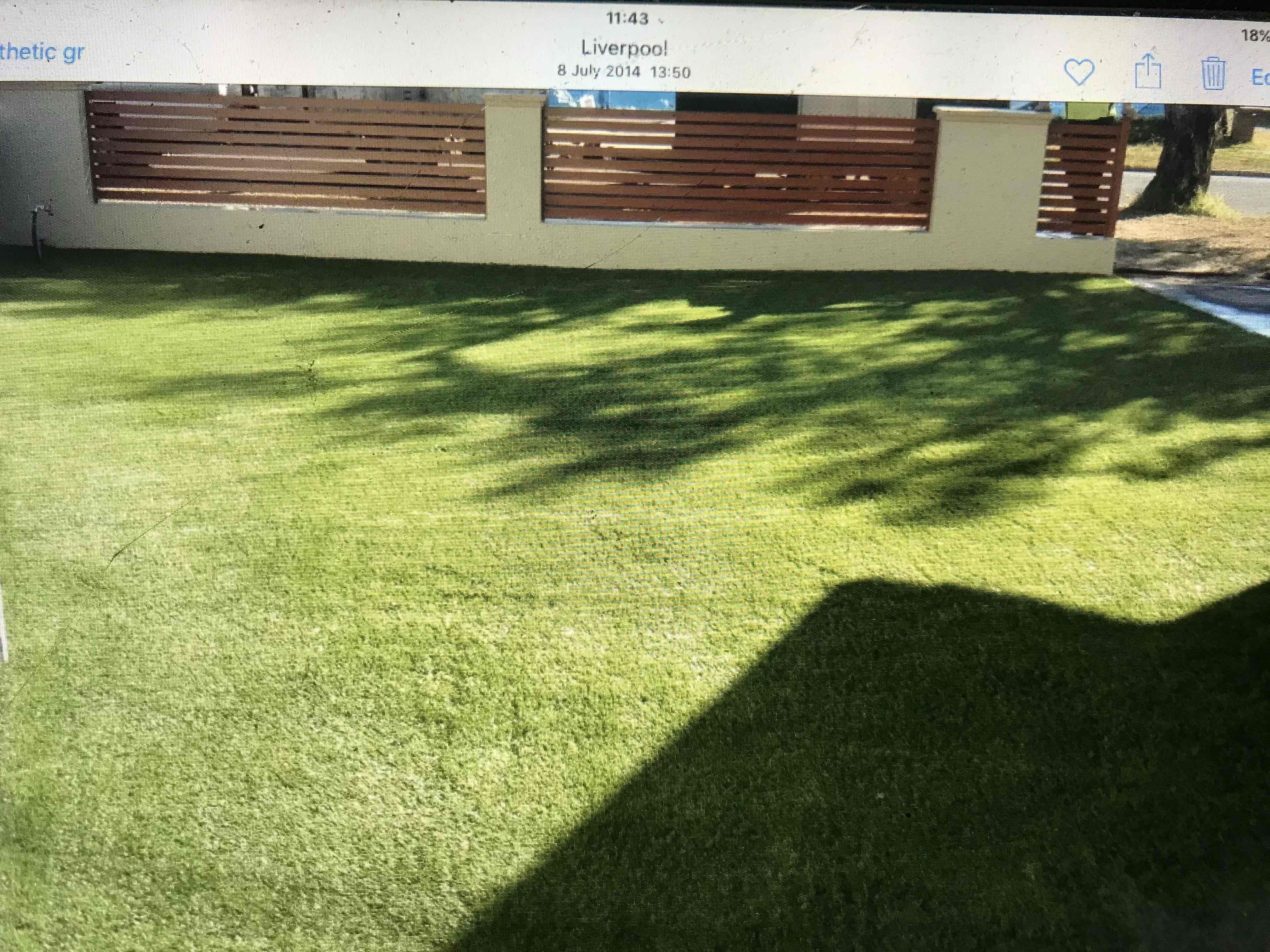 Steve's Oasis Landscapes project — hipages-074
