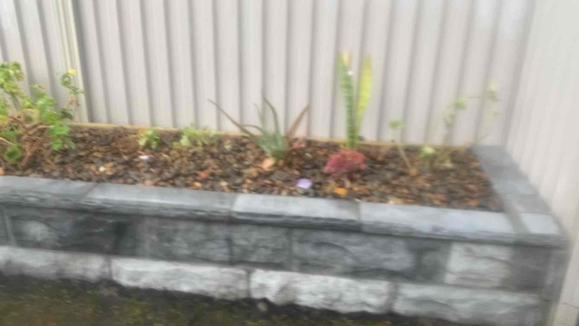 Steve's Oasis Landscapes project — hipages-147