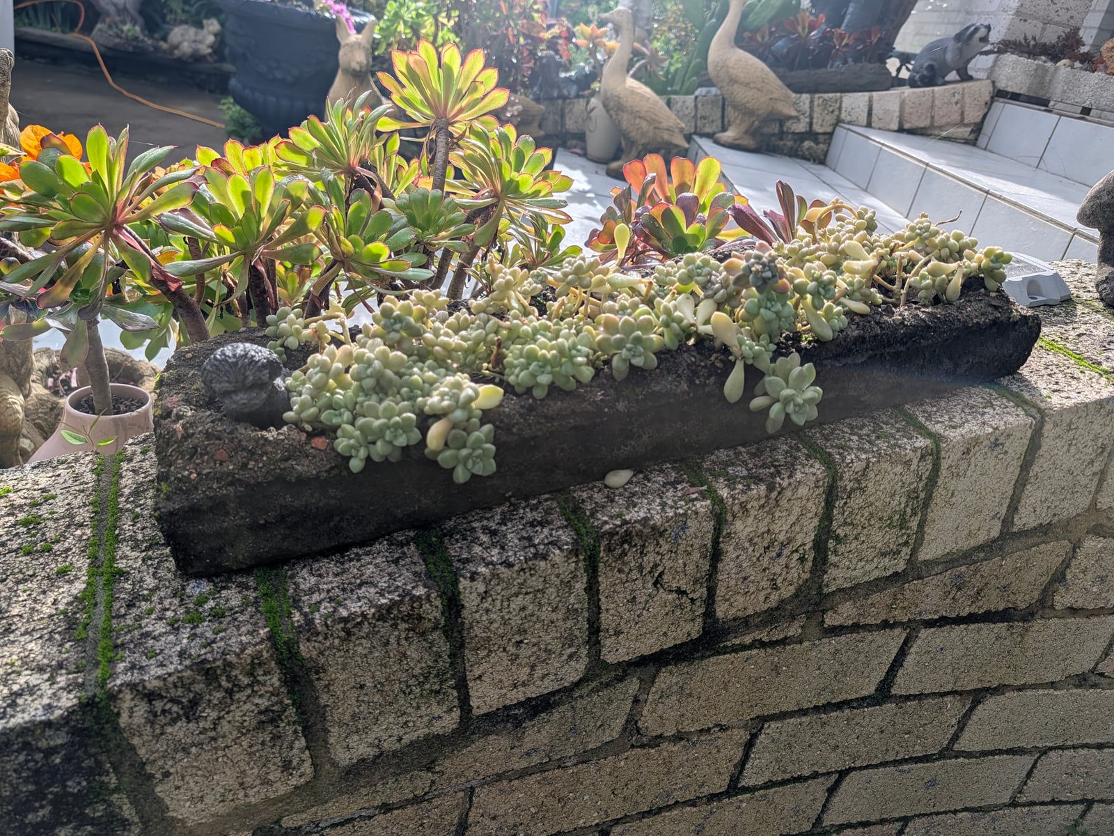 Capping Planter — Steve-made landscape product from Steve's Oasis Landscapes