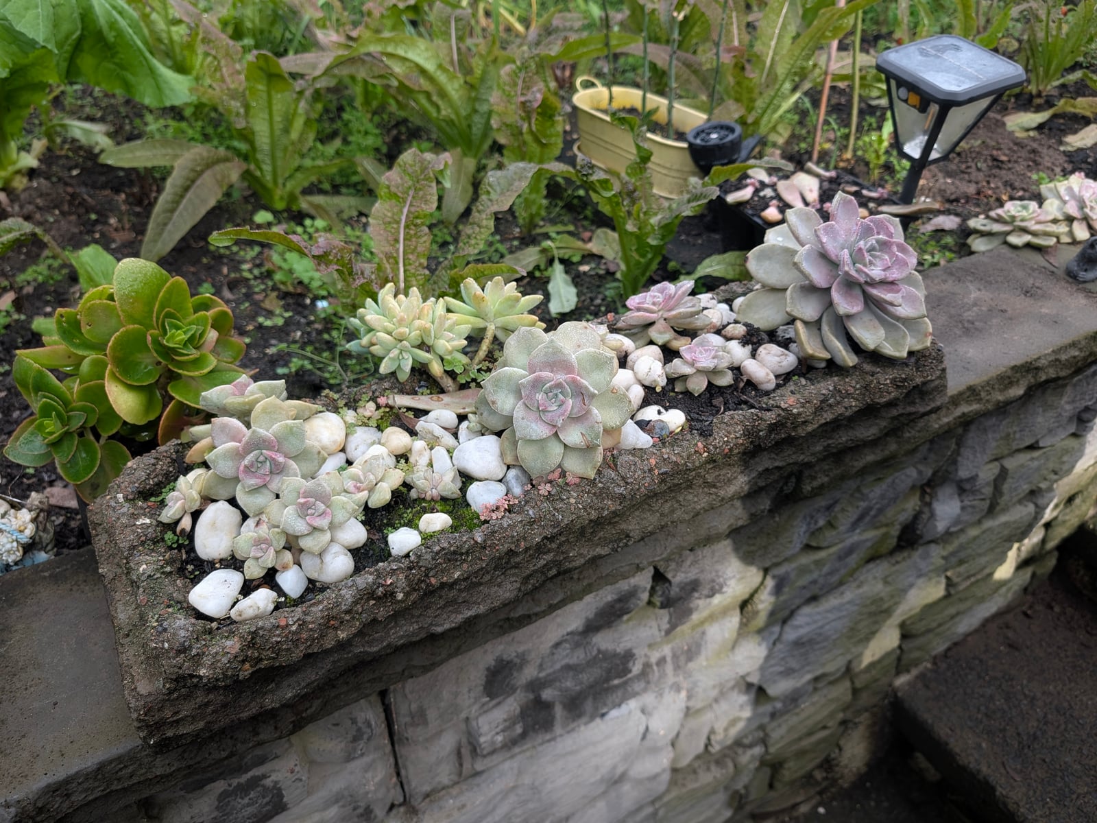 Capping Planter image 3