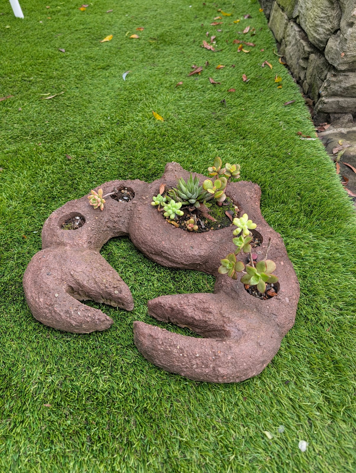Crab Pot — Steve-made product from Steve's Oasis Landscapes