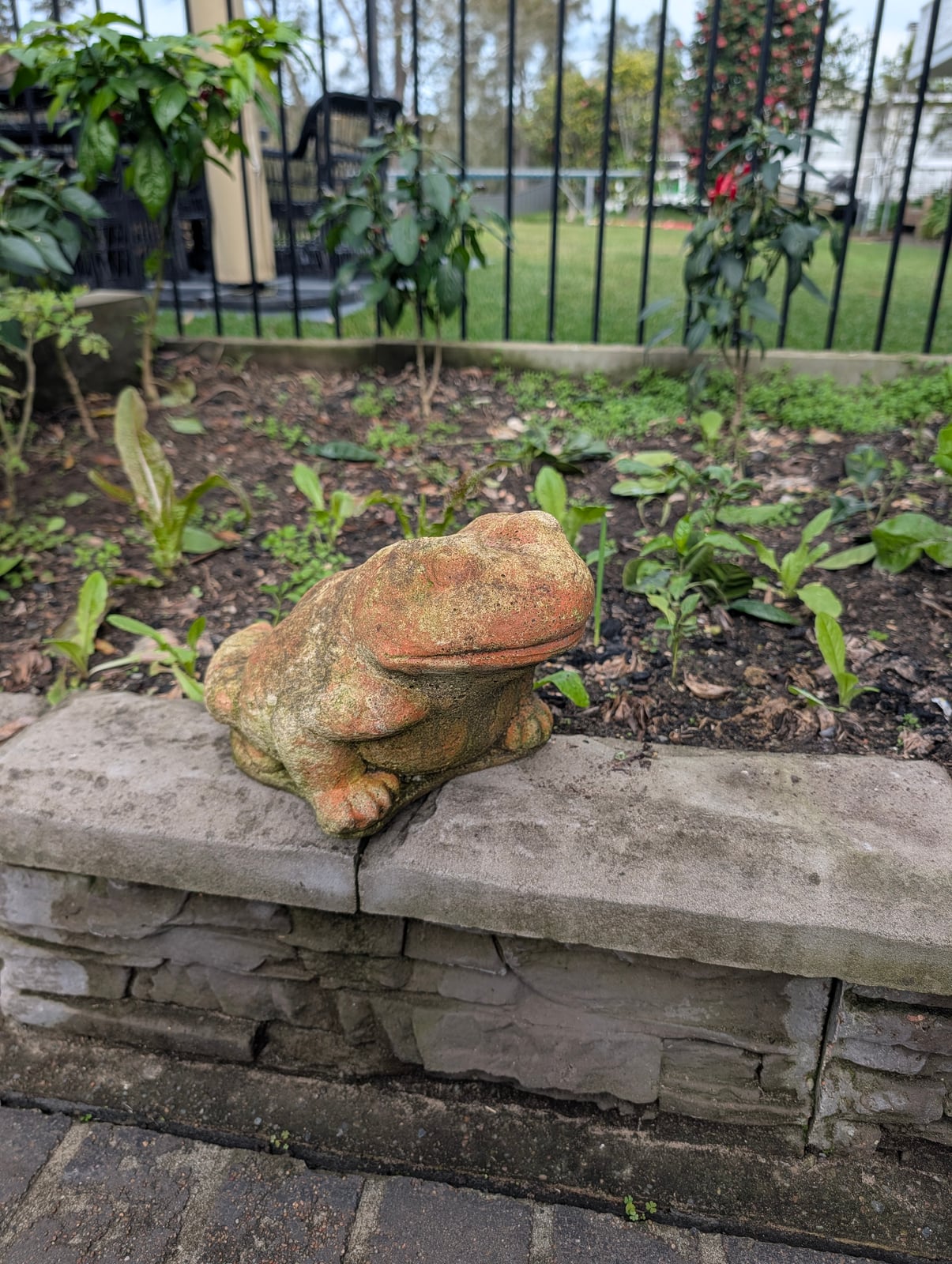 Froggie Statue — Steve-made product from Steve's Oasis Landscapes