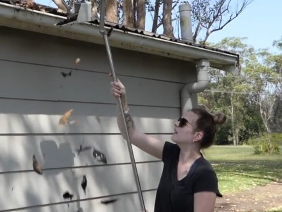 Safety-First Gutter Cleaner image 5