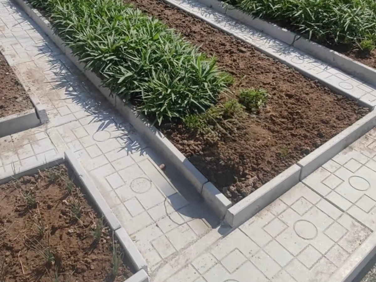 Step & Riser image 8
