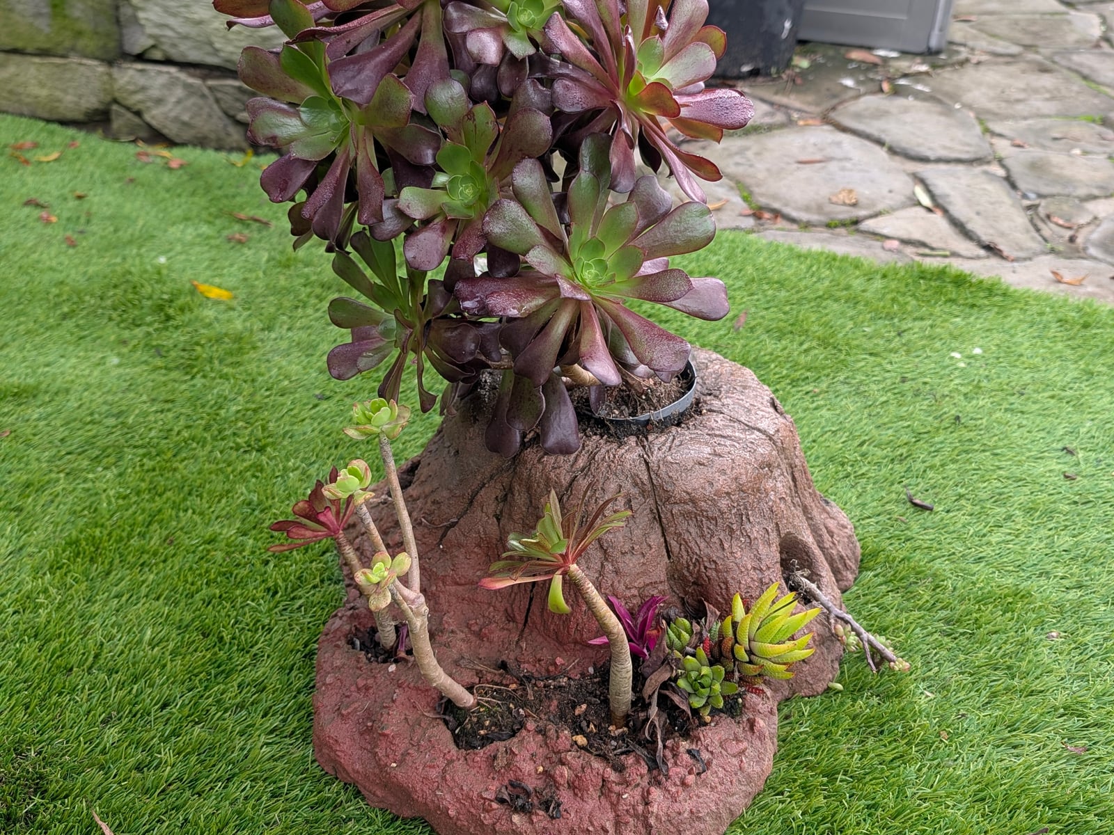 Tree Stump Pot — Steve-made landscape product from Steve's Oasis Landscapes