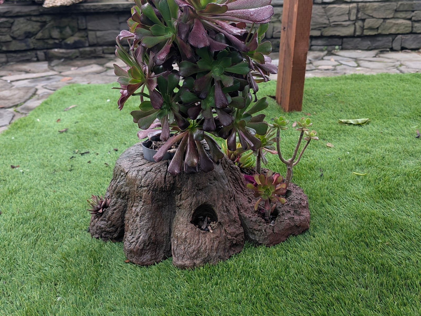 Tree Stump Pot image 2