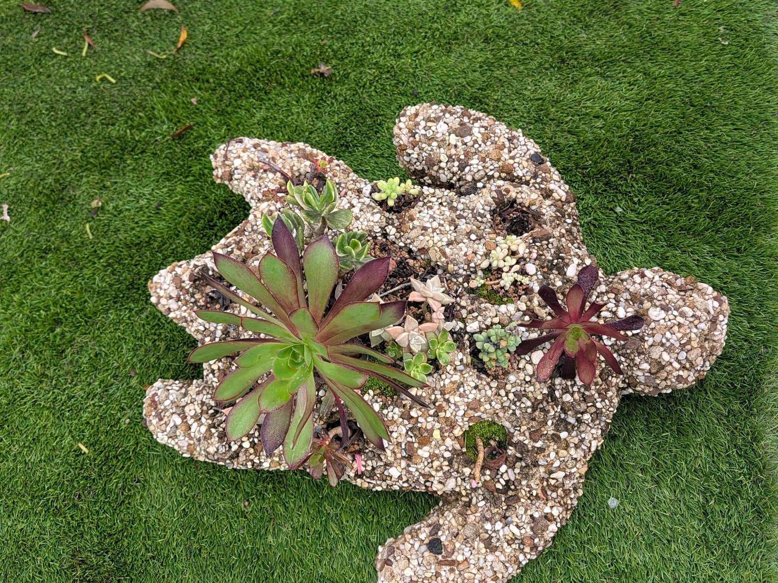 Turtle Pot — Steve-made landscape product from Steve's Oasis Landscapes